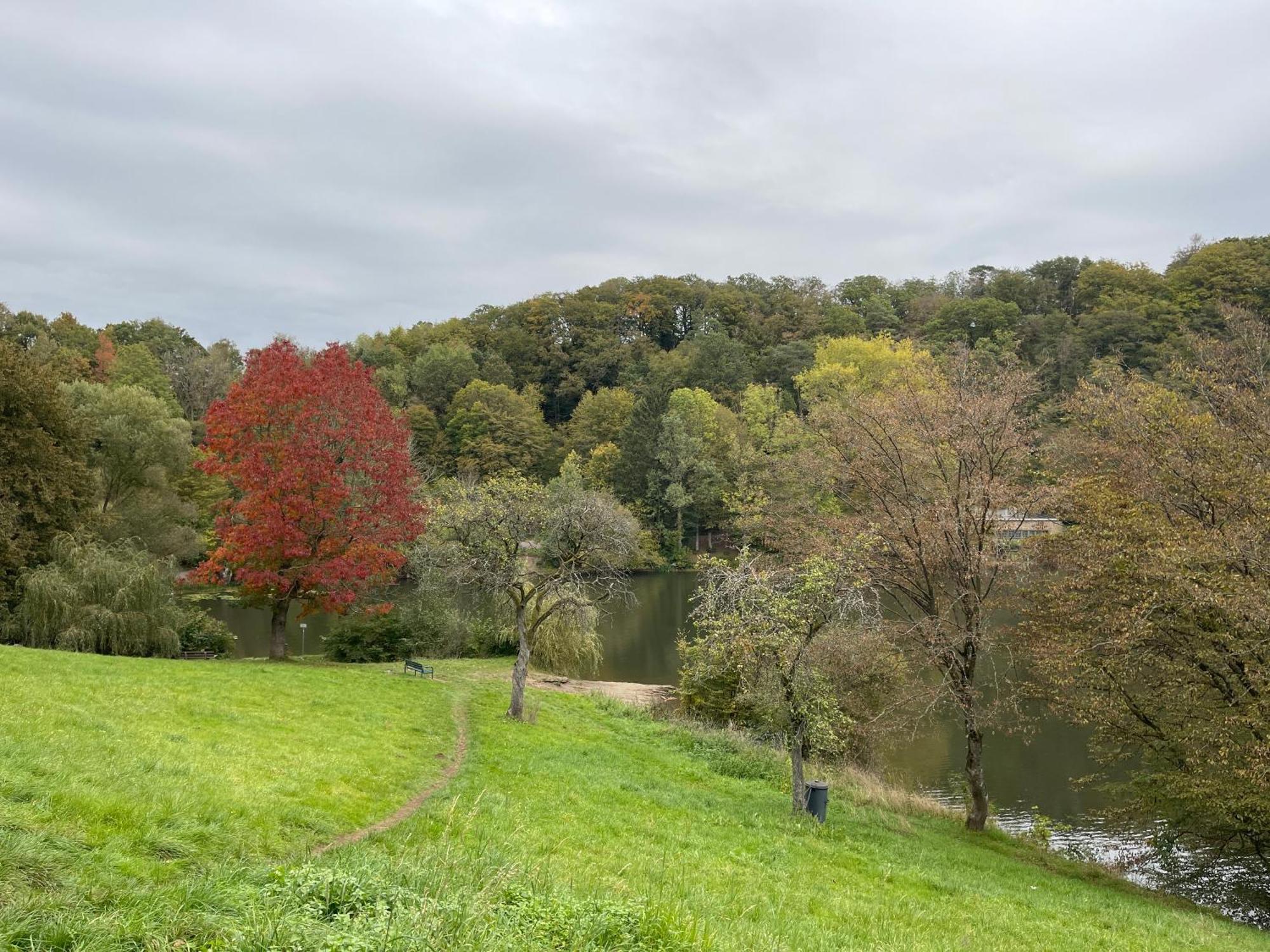 Ritterstube - Eifelstuben Mit Charme, Naehe See Und Burg, Aussergewoehnlich, Vulkaneifel Ulmen Exterior foto